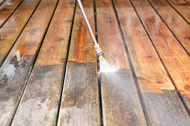 Animal Enclosure Cleaning in Whiteland, IN